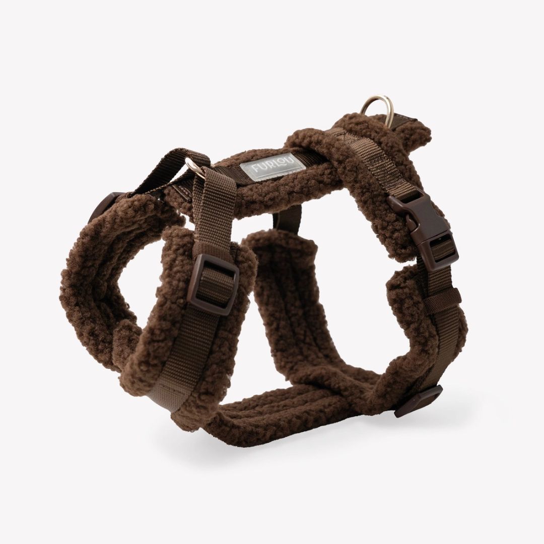 Harnais Sherpa - Marron