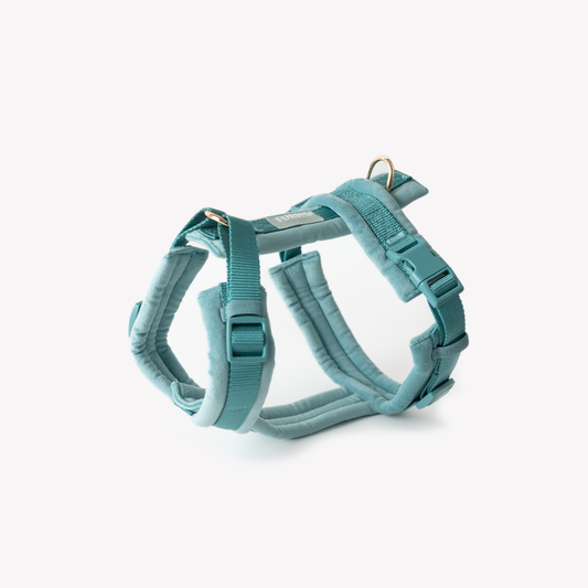 Harnais Velvet - Blue