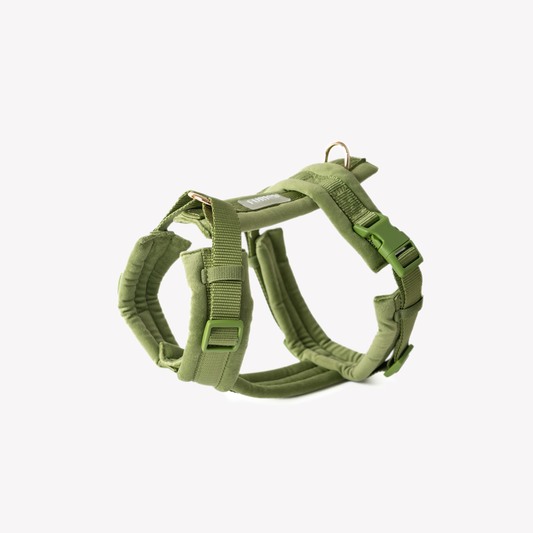 Harnais Velvet - Green