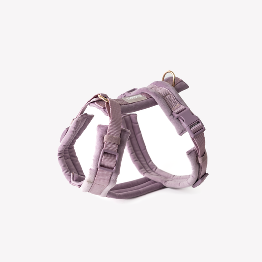 Harnais Velvet - Lilac