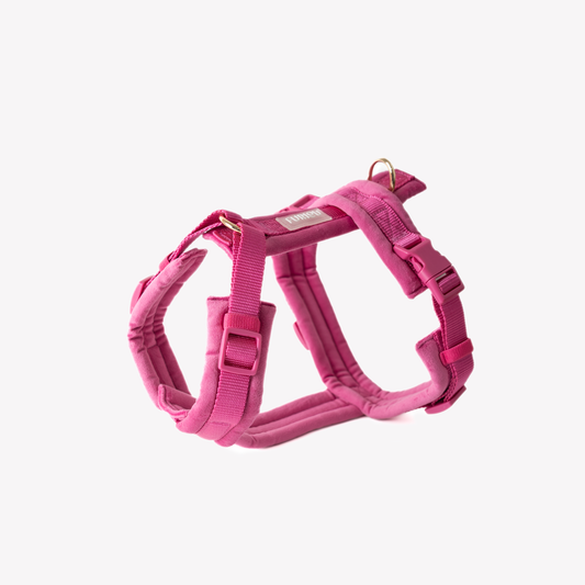 Harnais Velvet - Magenta