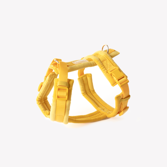Harnais Velvet - Yellow