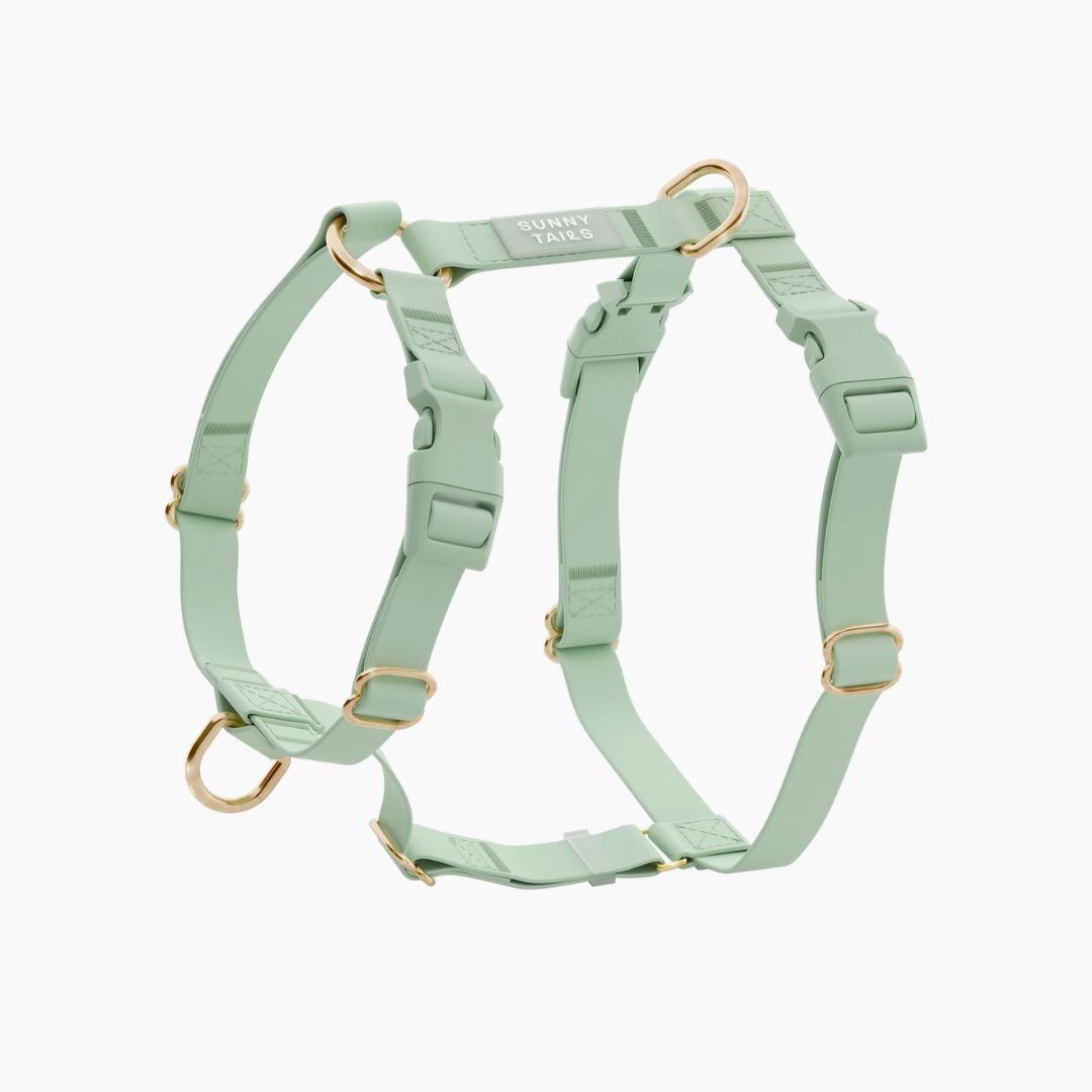 Harnais Waterproof Cloud Lite - Vert Pistachio