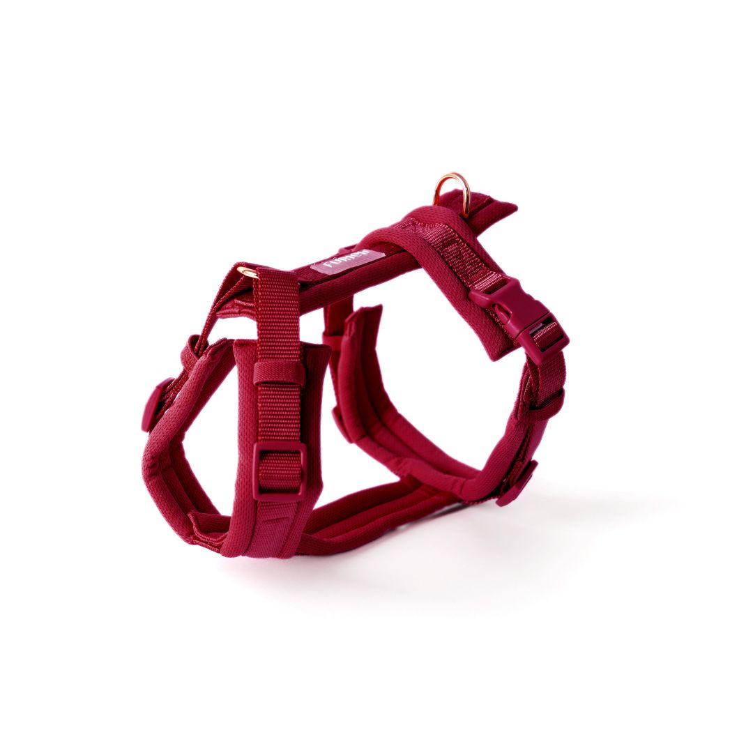 Harnais Comfort - Bordeaux