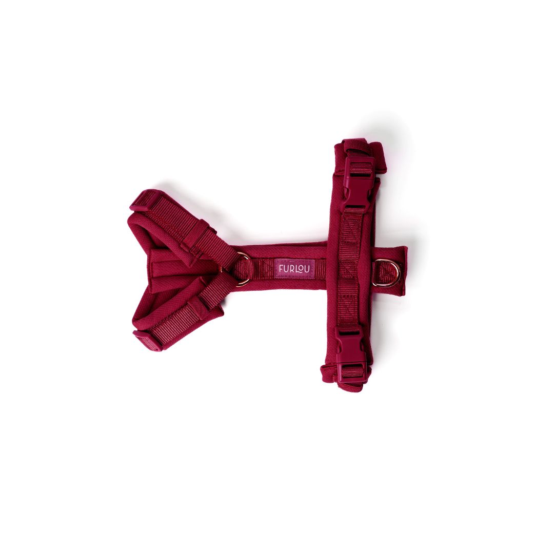 Harnais Comfort - Bordeaux