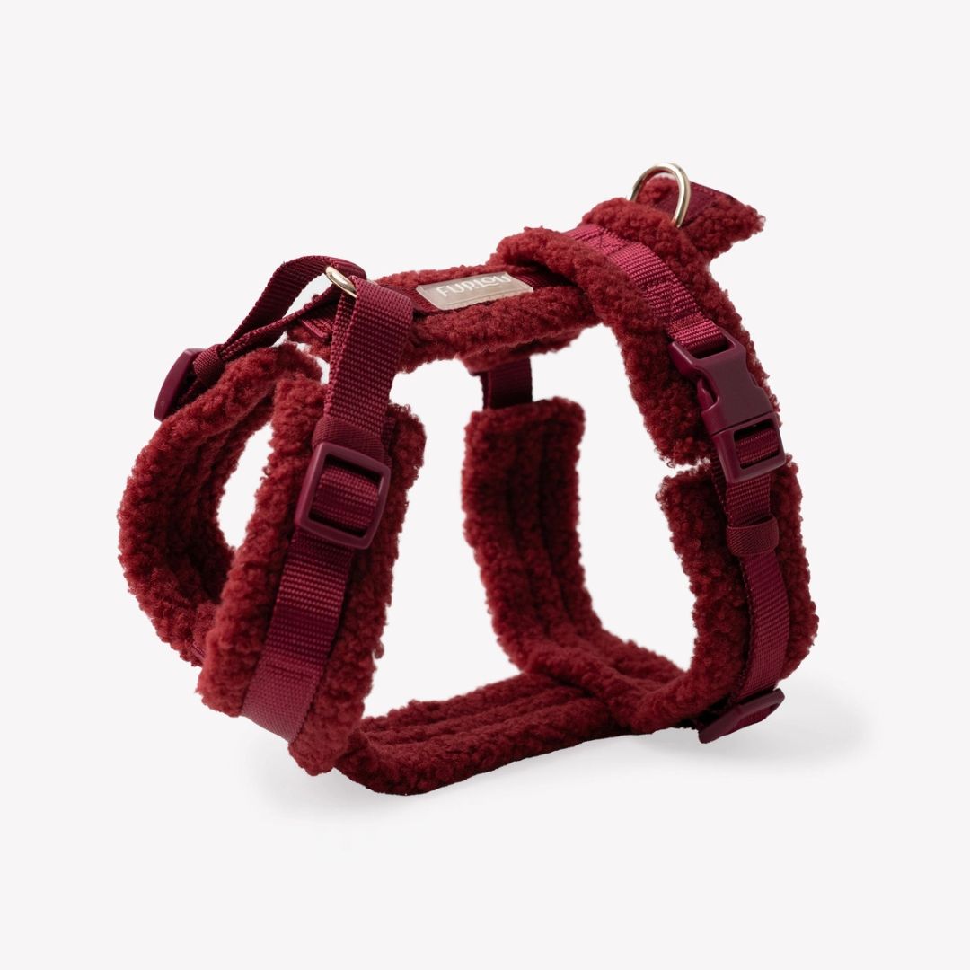 Harnais Sherpa - Bordeaux