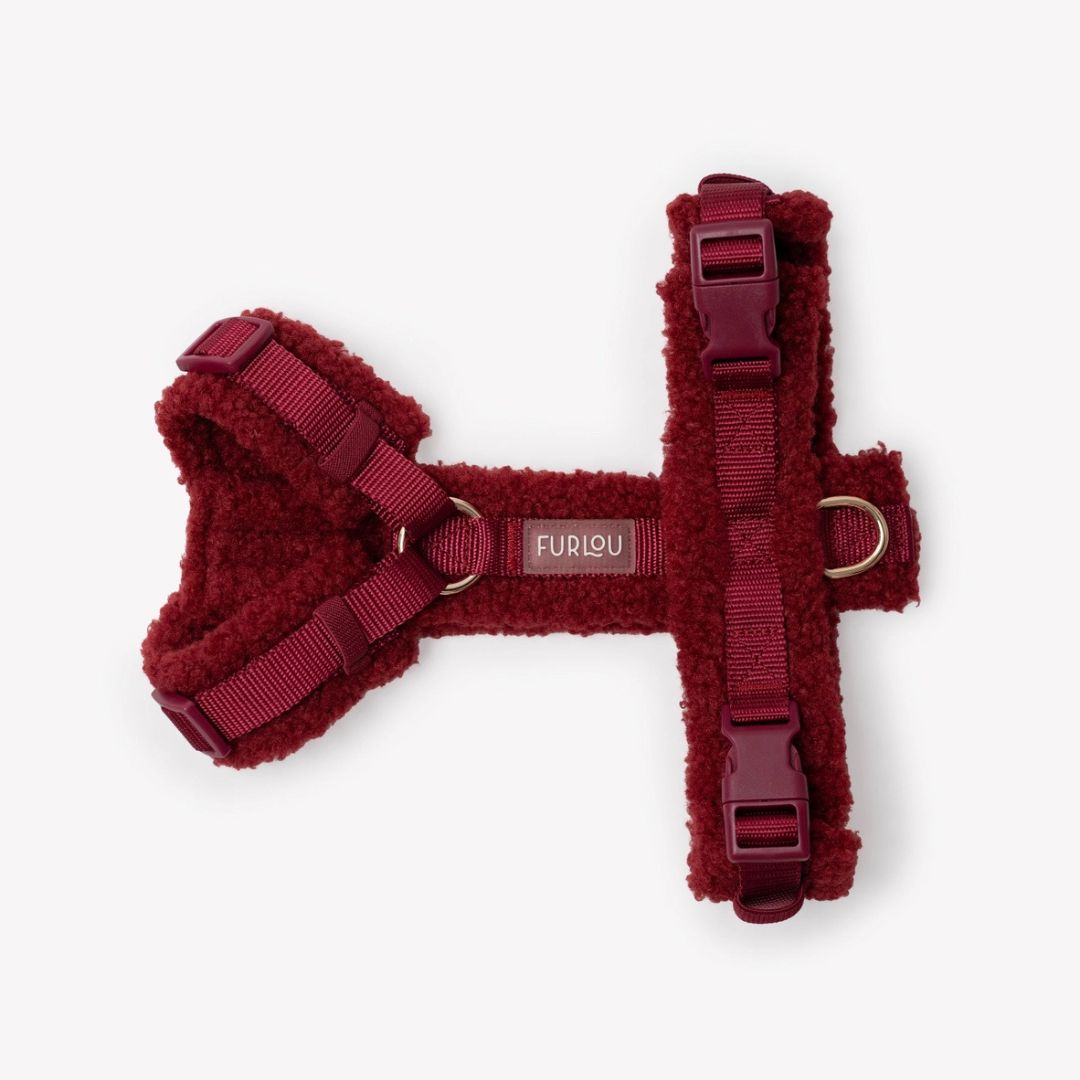 Harnais Sherpa - Bordeaux
