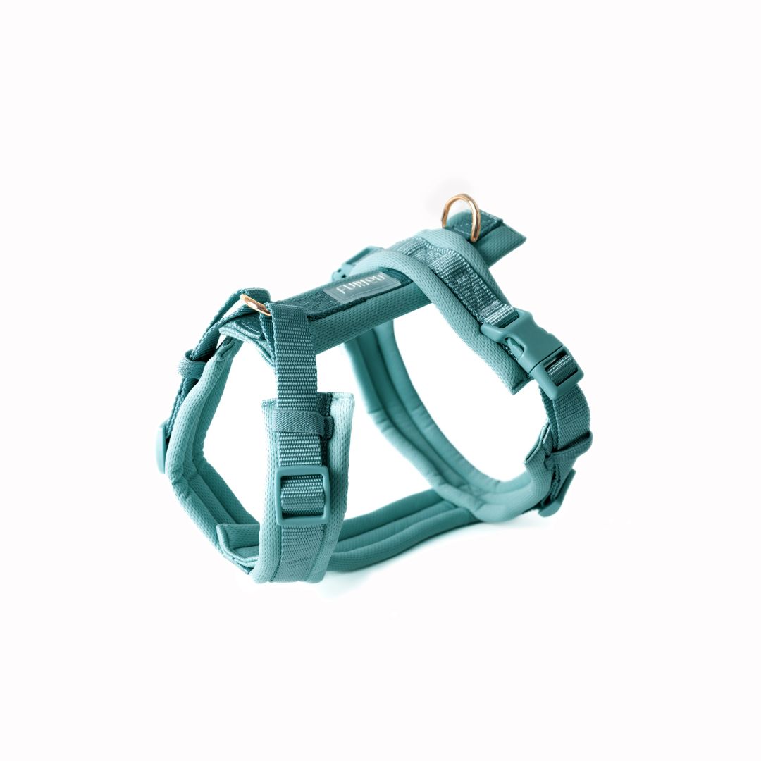 Harnais Comfort - Blue