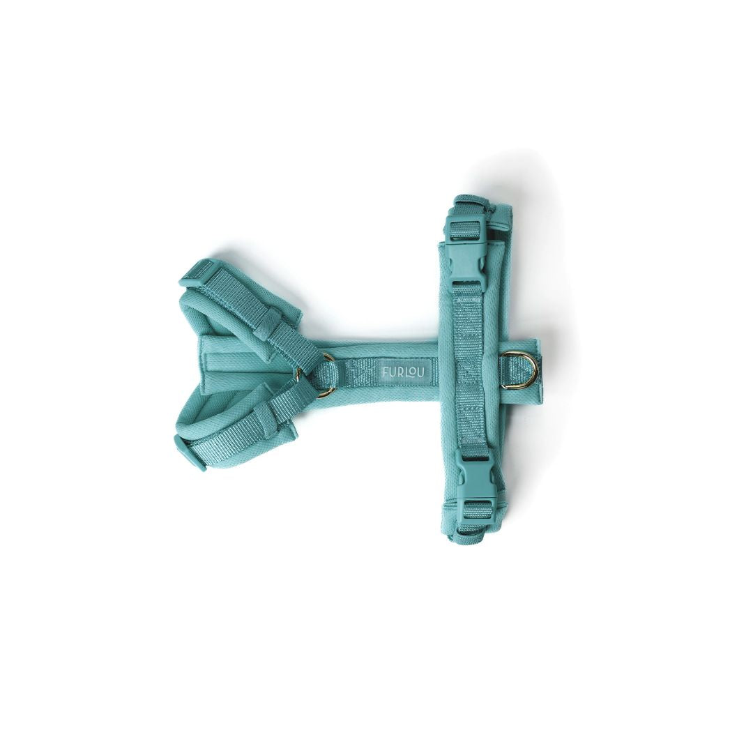 Harnais Comfort - Blue