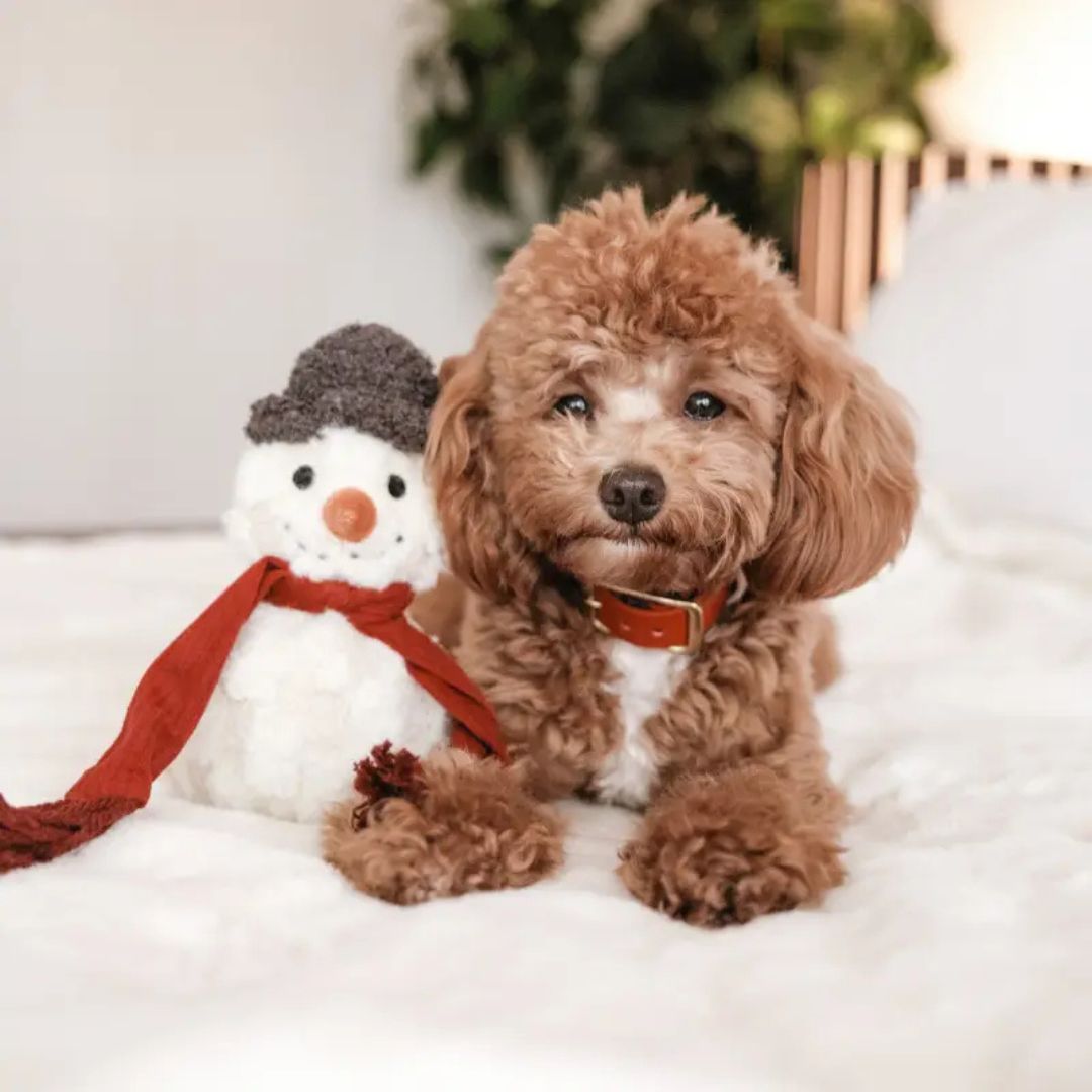 Jouet - Bonhomme de neige