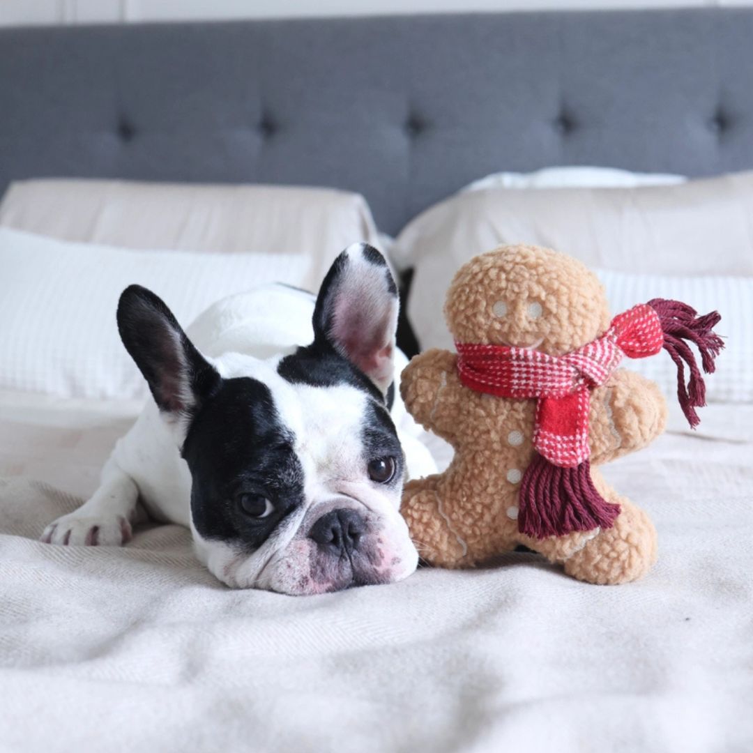 Jouet - Pain d'Épice