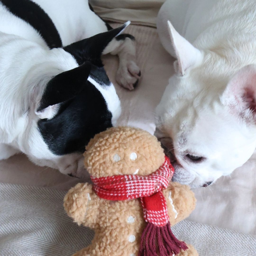 Jouet - Pain d'Épice