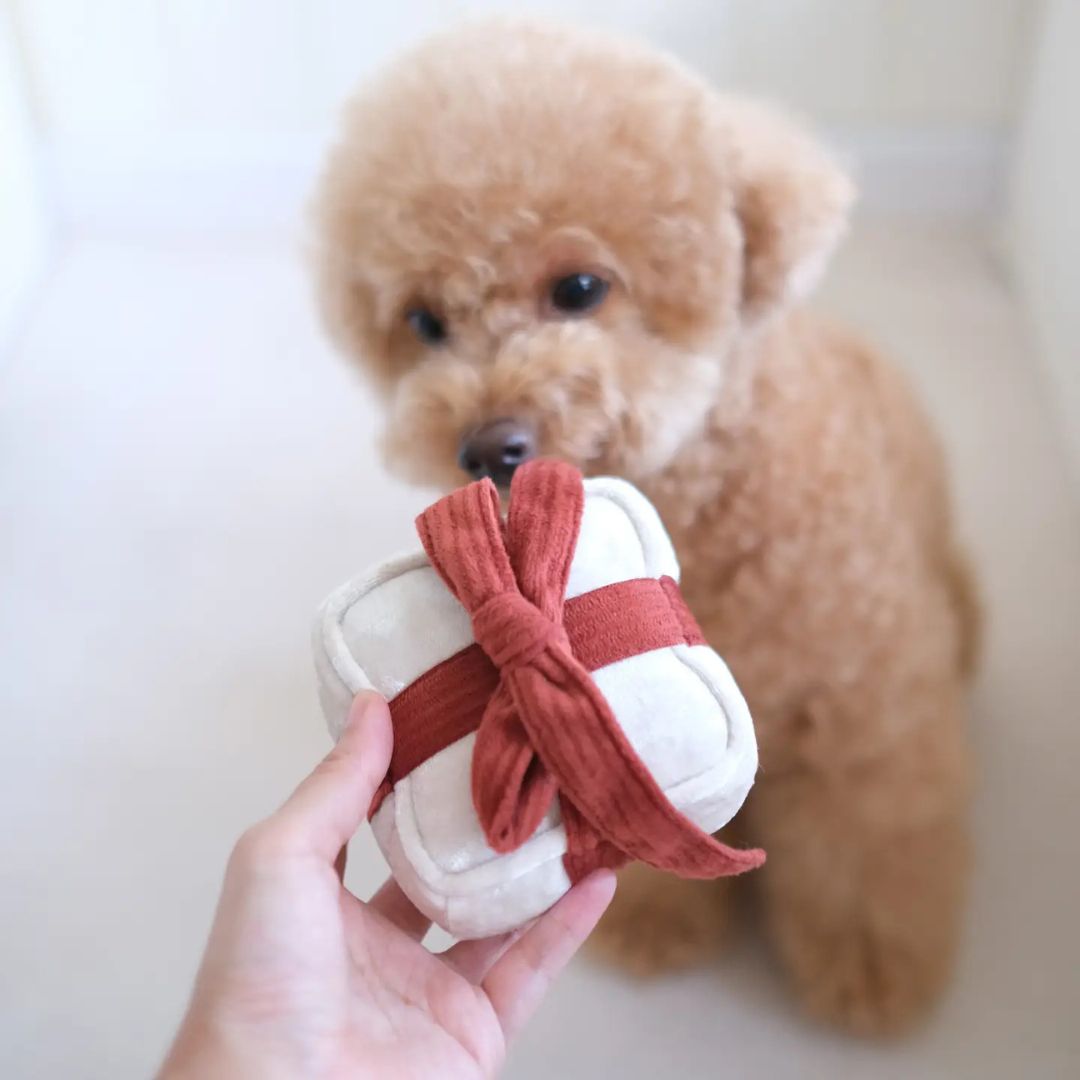 Jouet Cadeau de Noël - Blanc