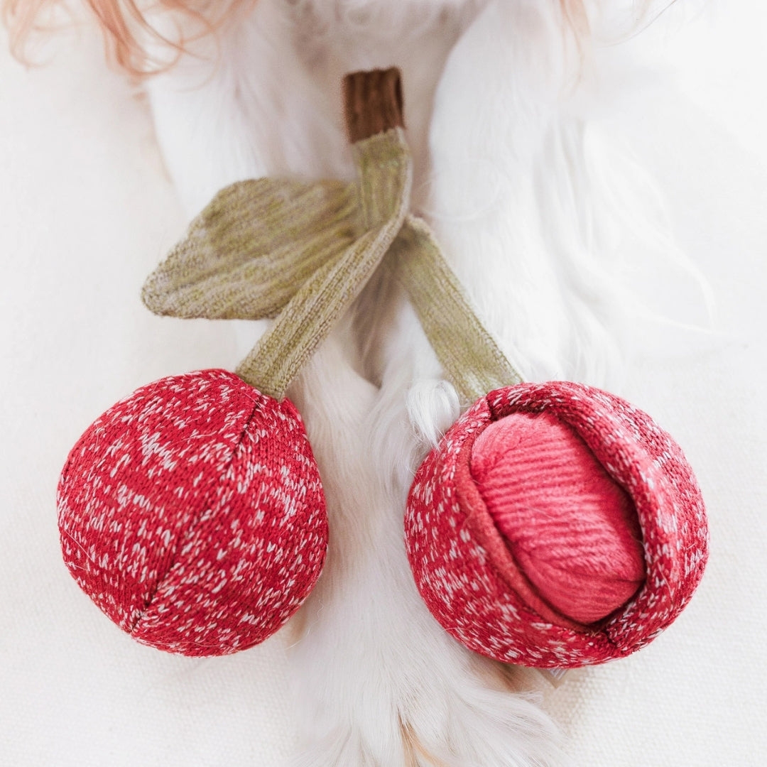 Jouet d'occupation - Cherry Pop