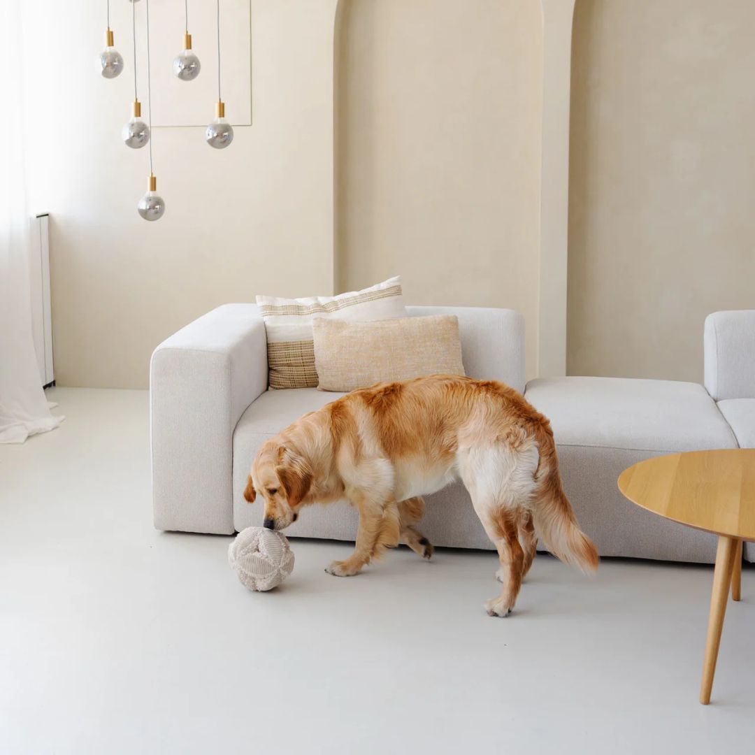 Jouet de fouille BOBBY - Beige