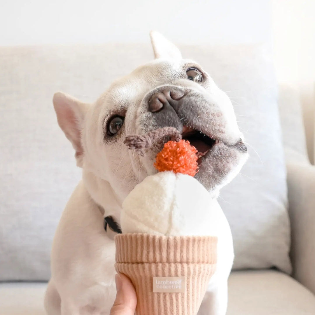 Jouet de fouille - Ice Cream