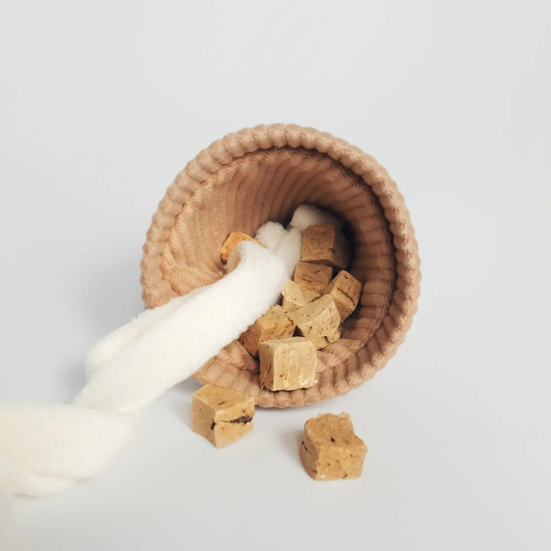 Jouet de fouille - Ice Cream