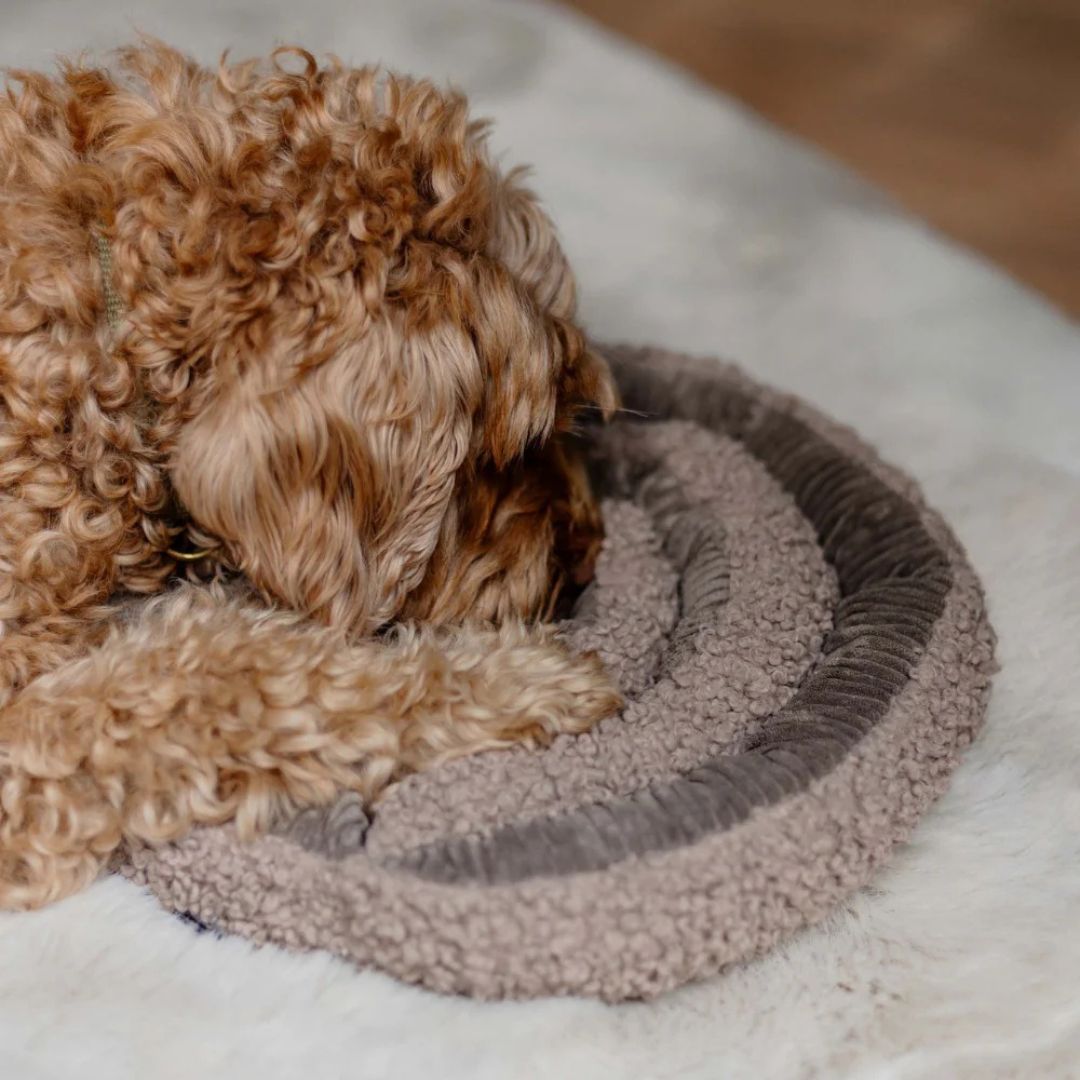 Jouet de fouille SWIRL - Taupe