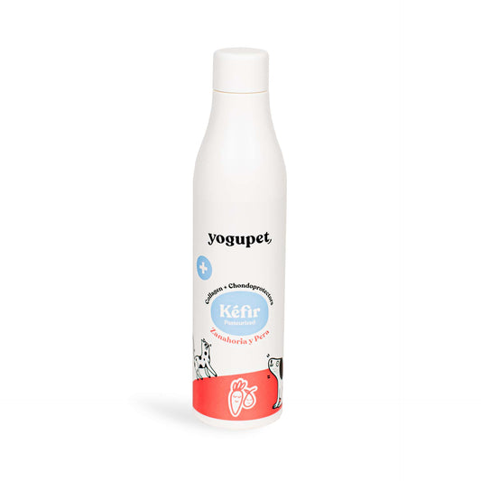 Kéfir - Carotte & Poire
