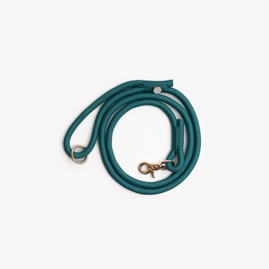 Laisse en nylon - Blue