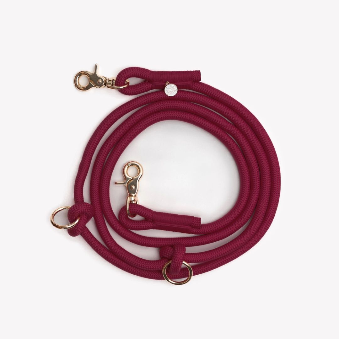Laisse mains libres en nylon - Bordeaux