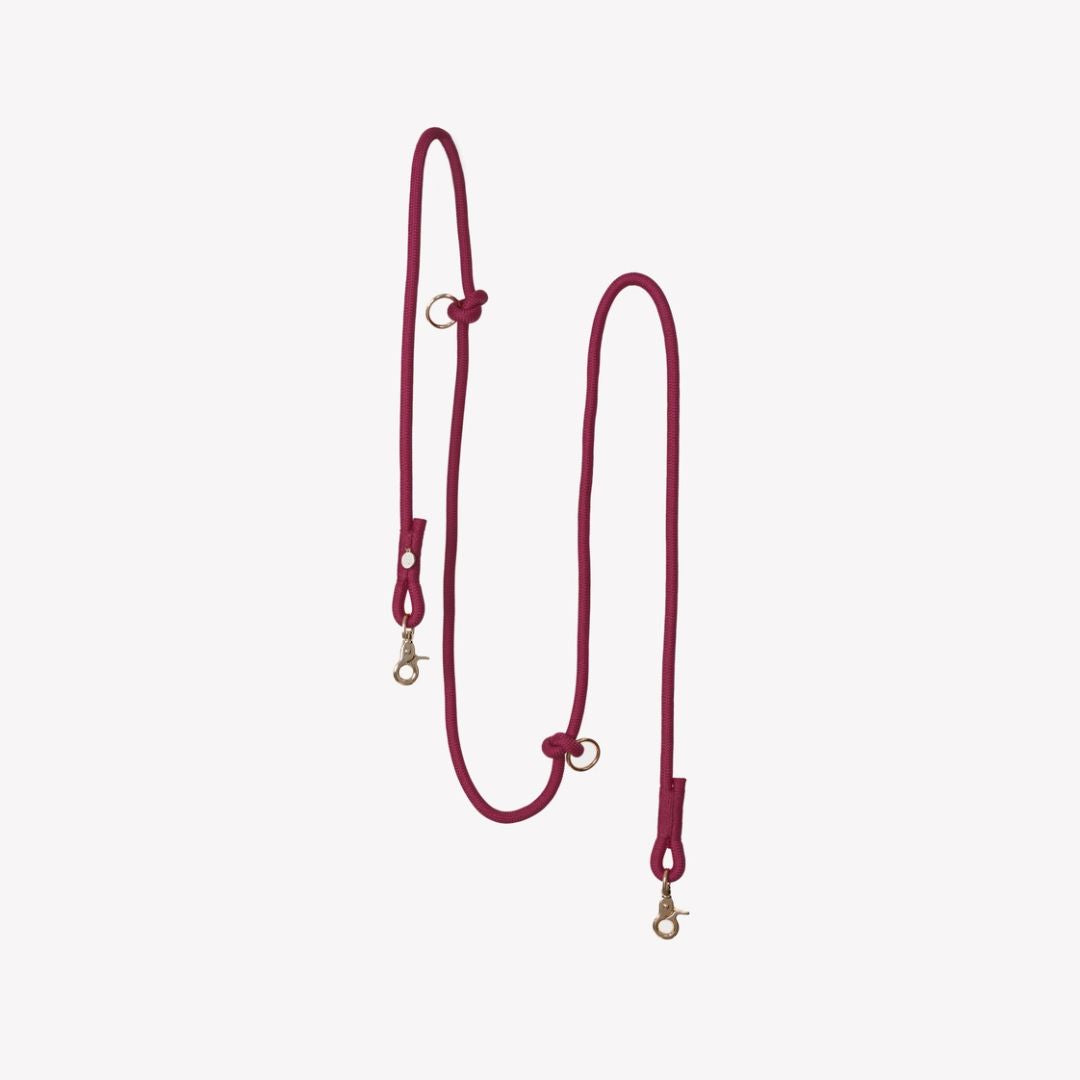 Laisse mains libres en nylon - Bordeaux