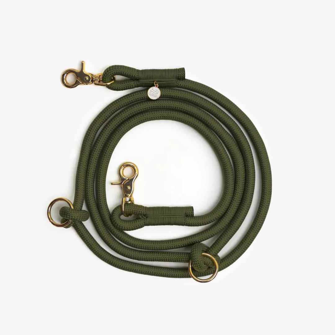 Laisse mains libres en nylon - Kaki
