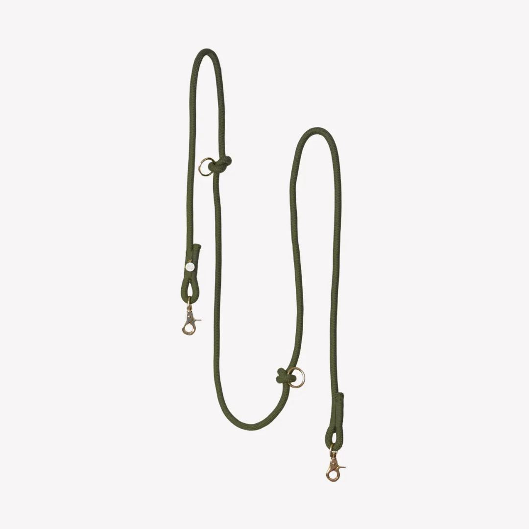 Laisse mains libres en nylon - Kaki