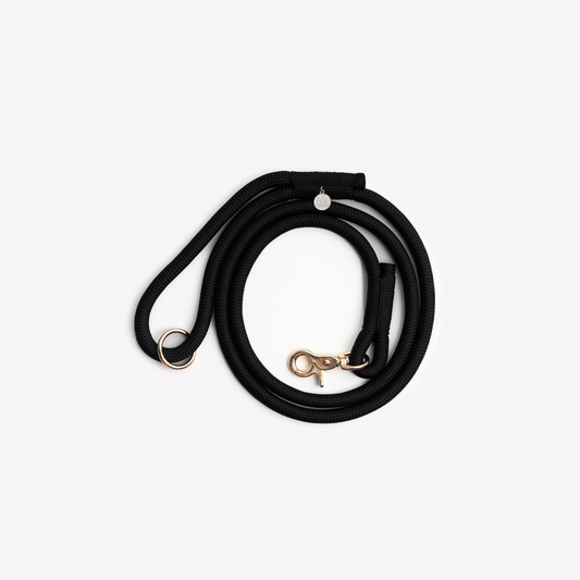 Laisse en nylon - Black
