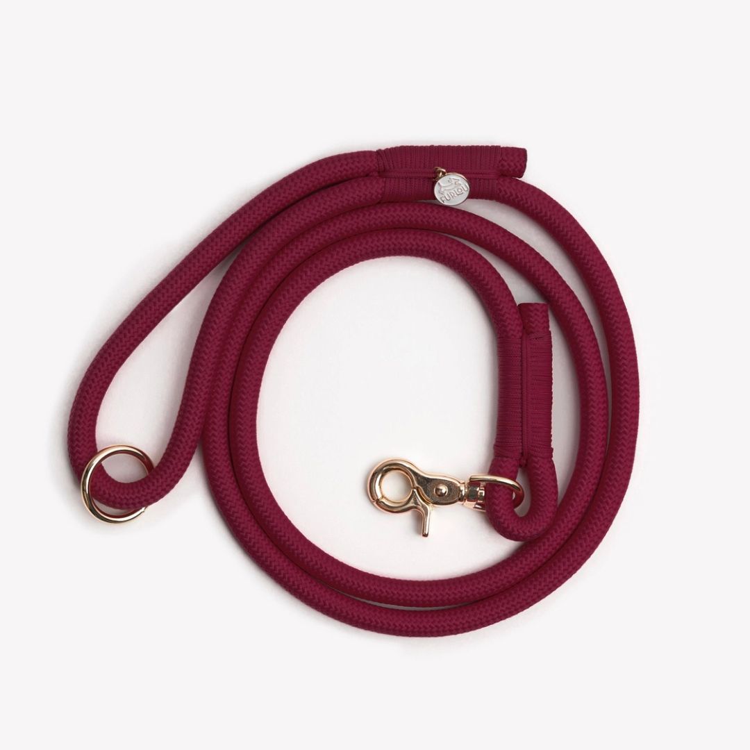 Laisse en nylon - Bordeaux