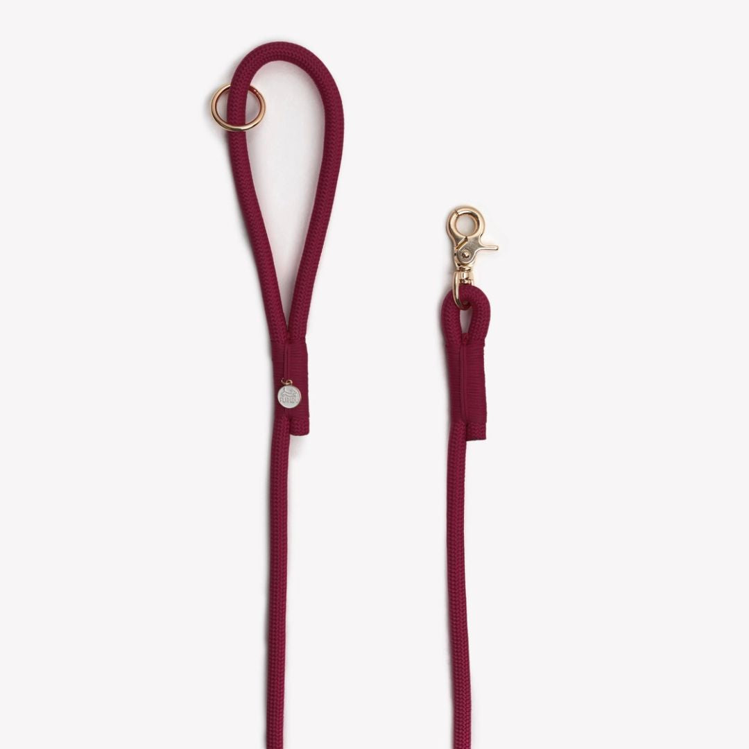 Laisse en nylon - Bordeaux