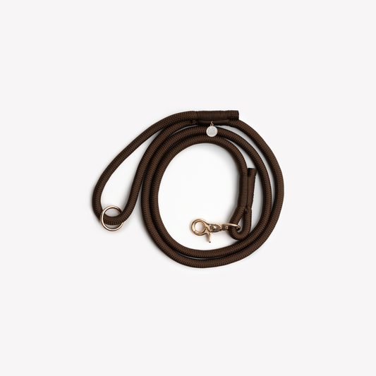 Laisse en nylon - Brown