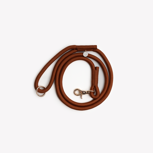 Laisse en nylon - Clay