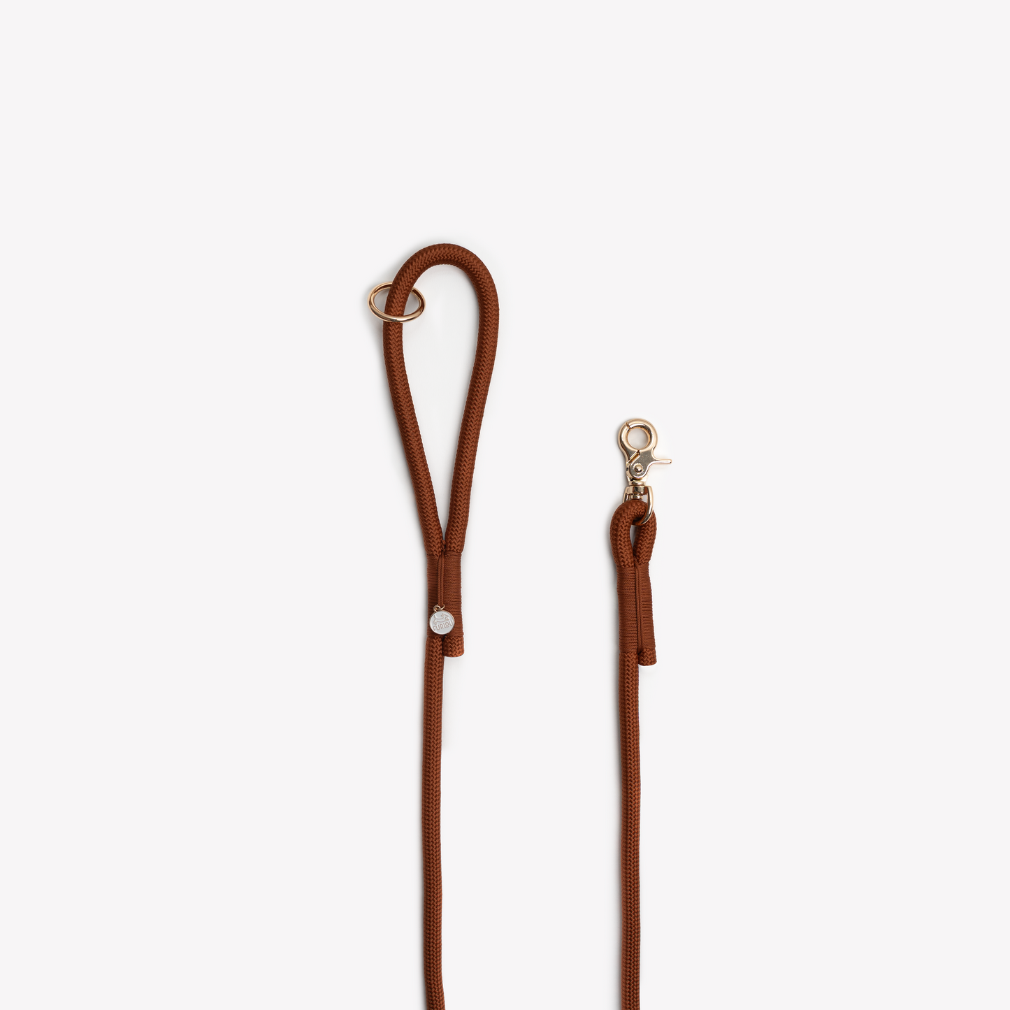 Laisse en nylon - Clay