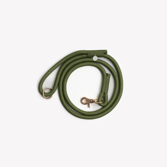 Laisse en nylon - Green