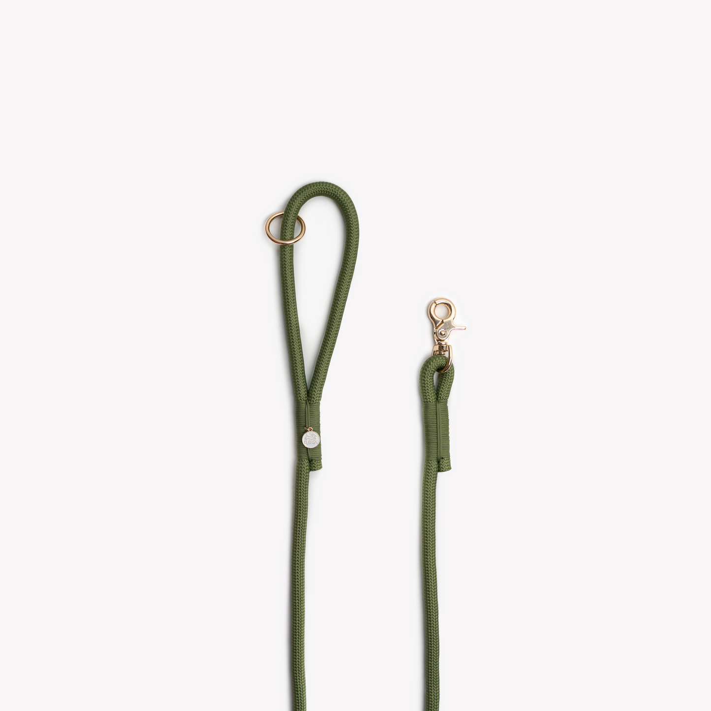 Laisse en nylon - Green