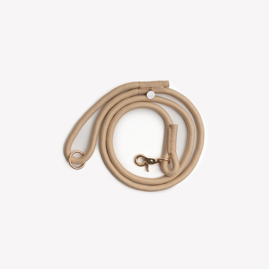 Laisse en nylon - Tan