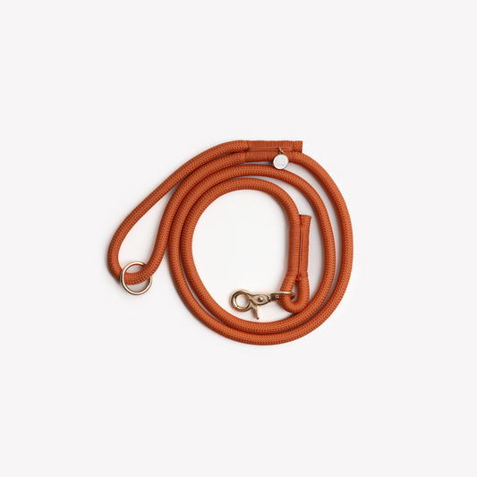 Laisse en nylon - Terracotta