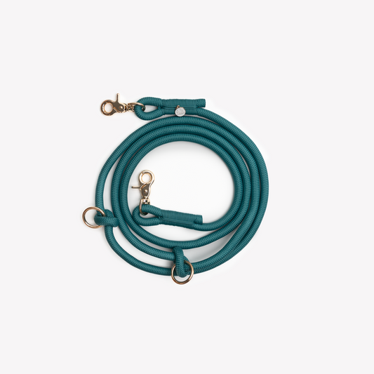 Laisse mains libres en nylon - Blue