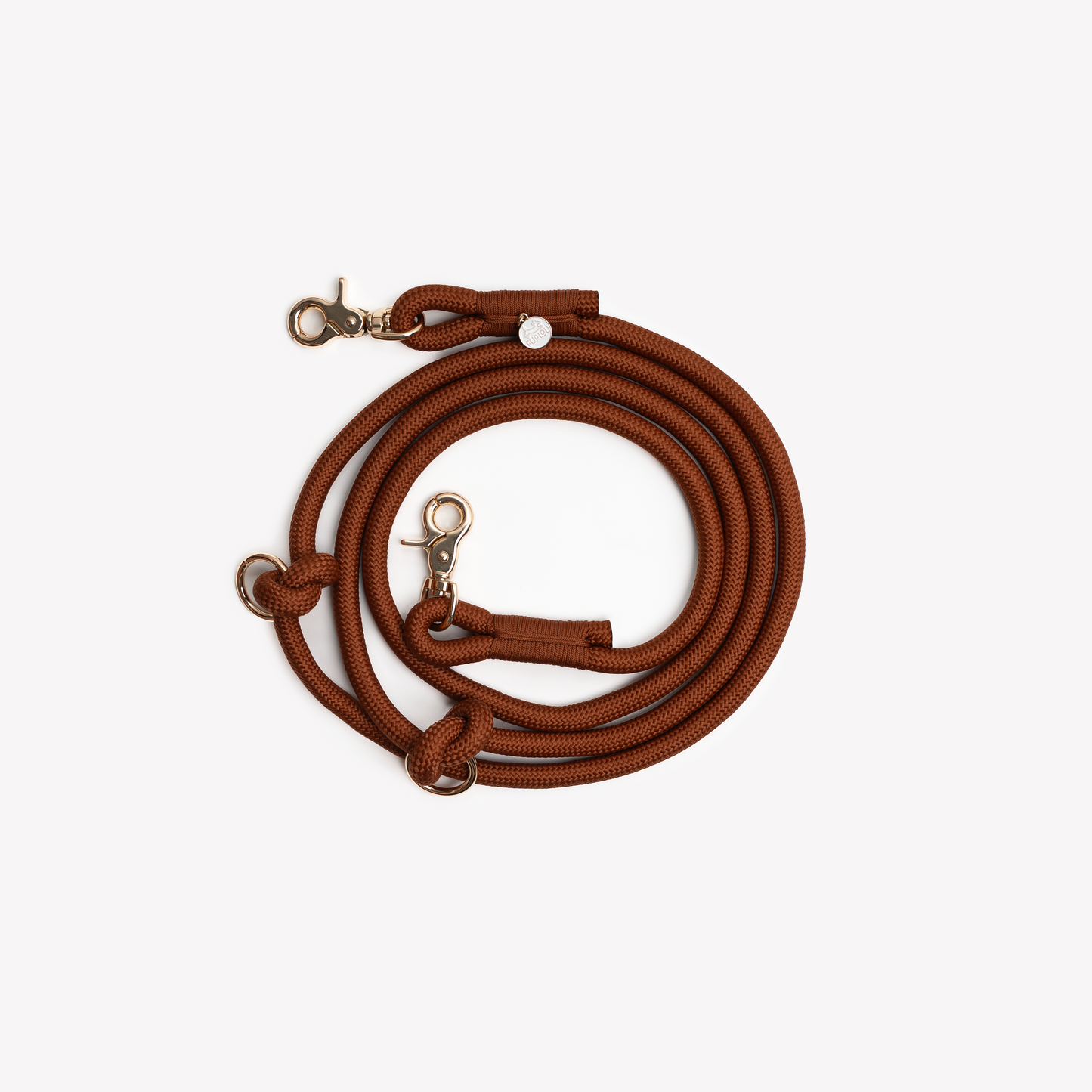 Laisse mains libres en nylon - Clay