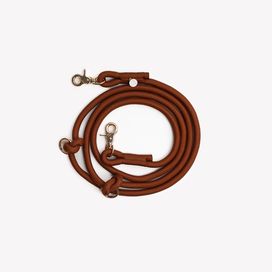 Laisse mains libres en nylon - Clay