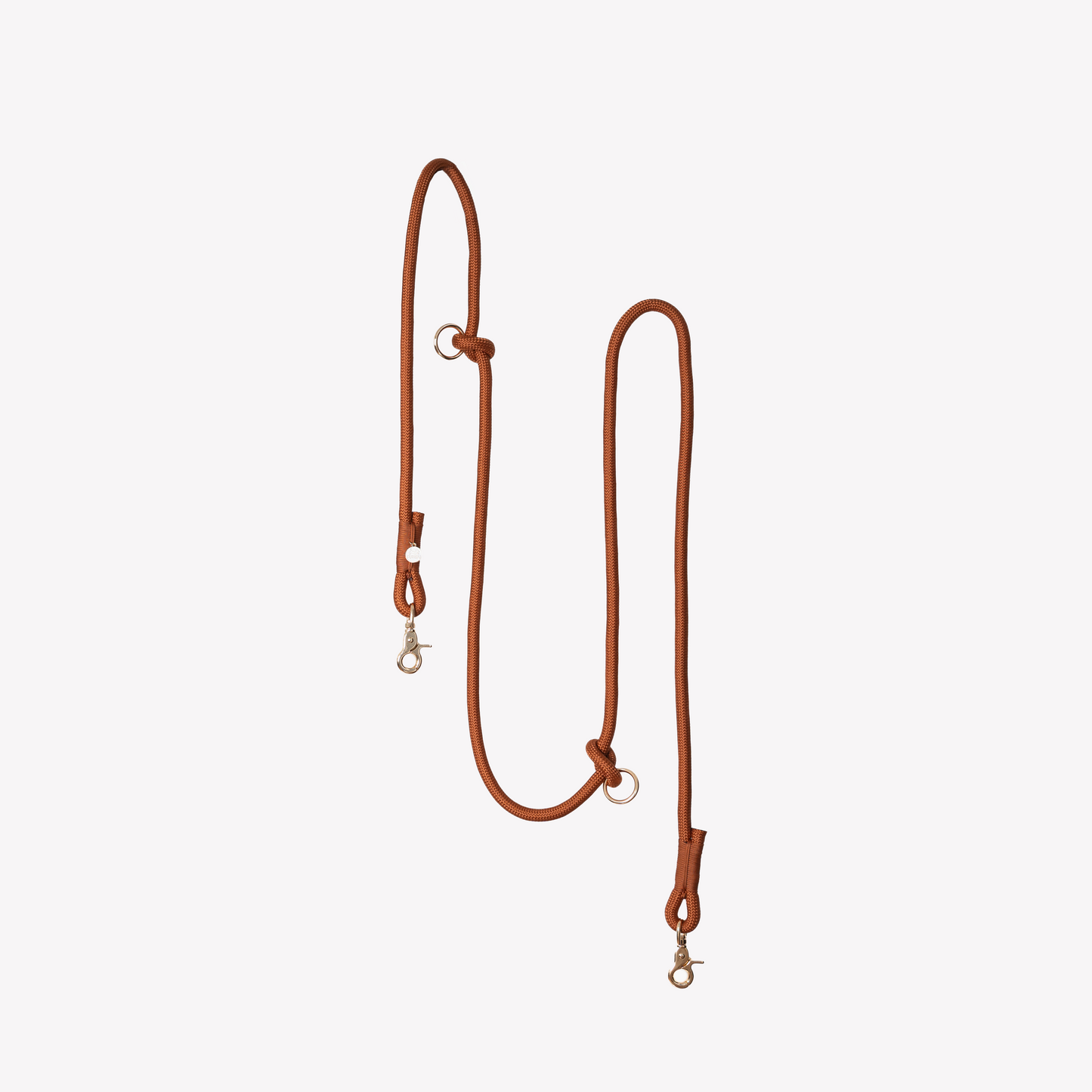 Laisse mains libres en nylon - Clay