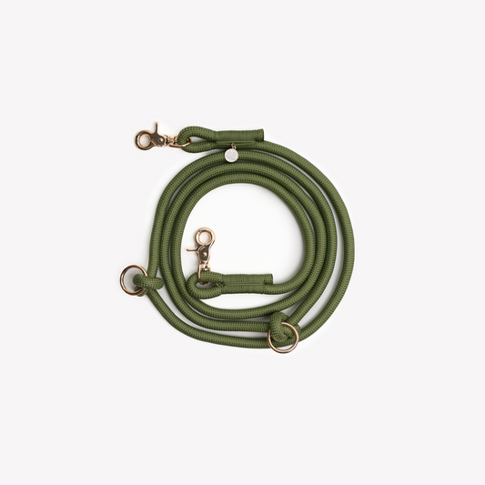 Laisse mains libres en nylon - Green