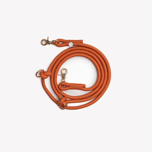 Laisse mains libres en nylon - Terracotta