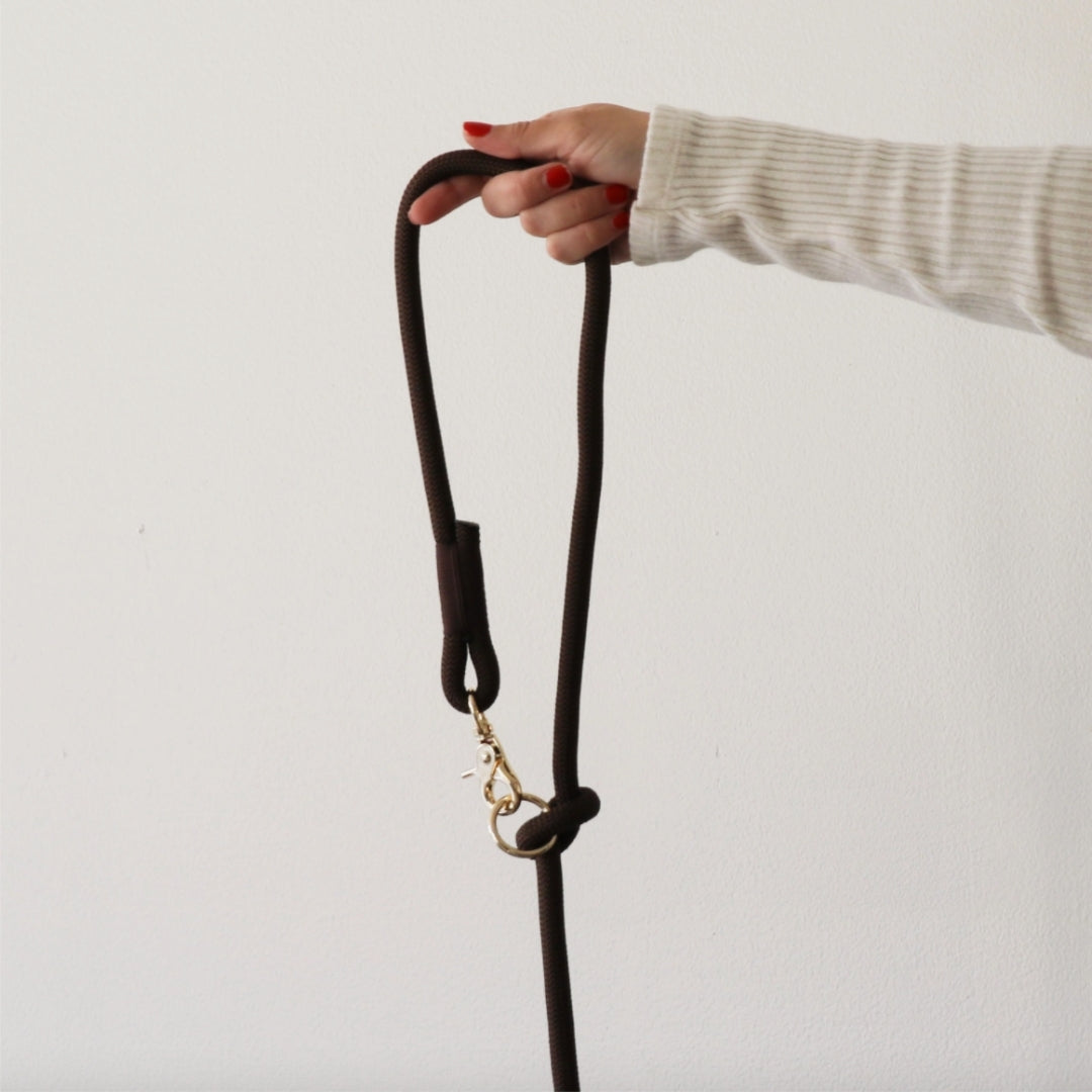 Laisse mains libres en nylon - Brown