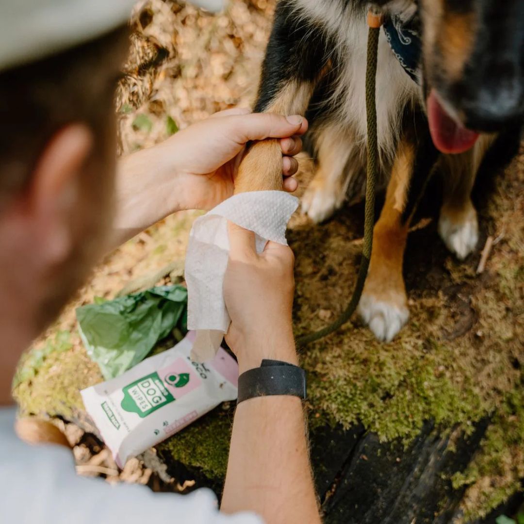 Lingettes nettoyantes en bambou