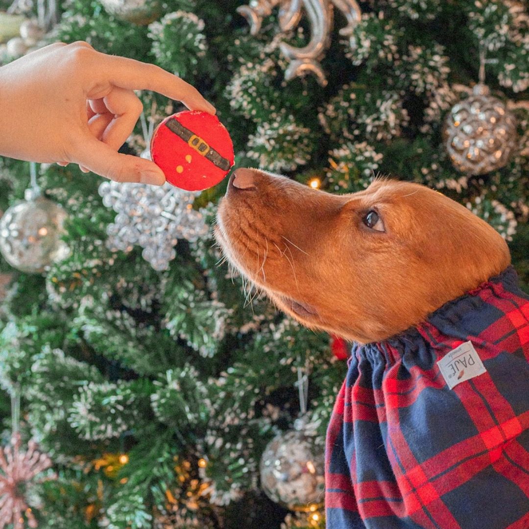Macarons Père Noël