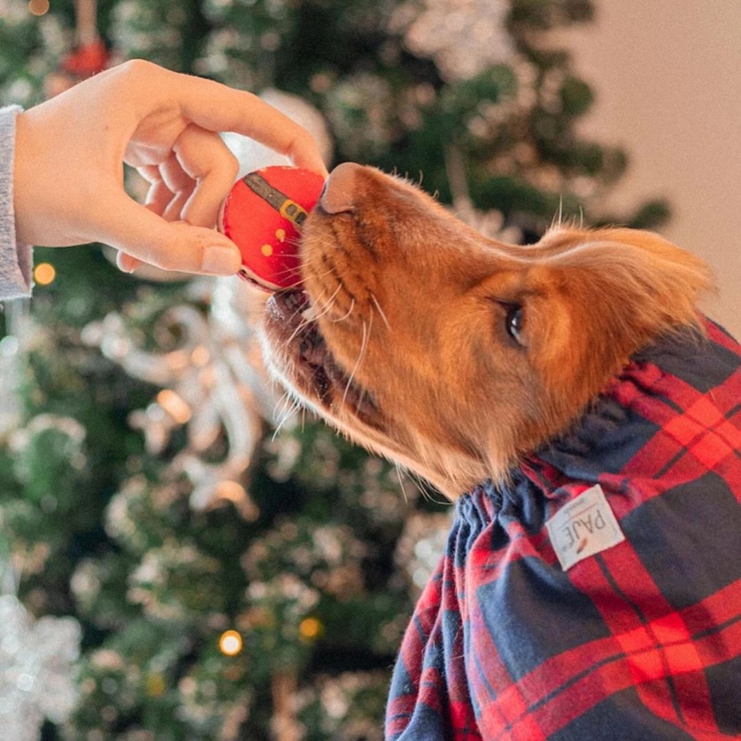 Macarons Père Noël