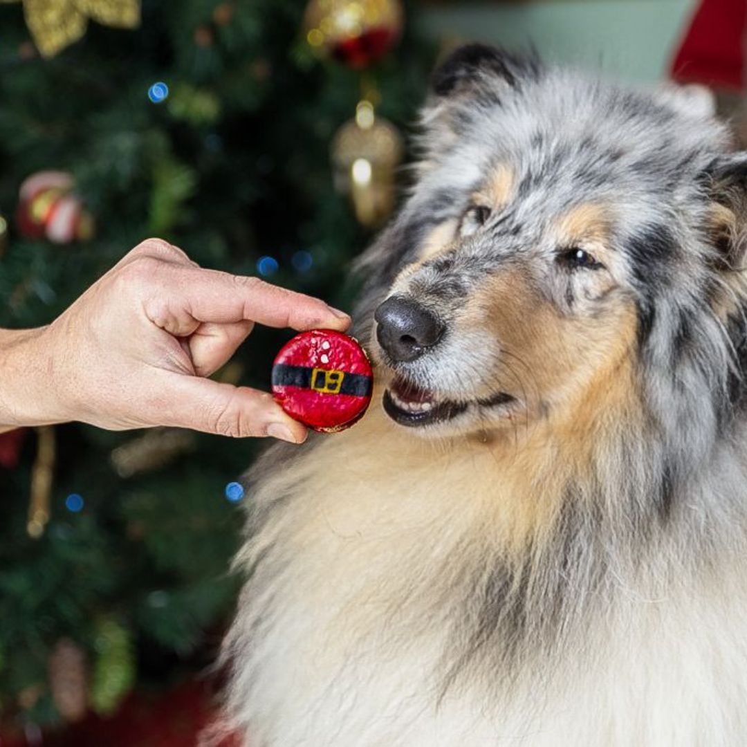 Macarons Père Noël
