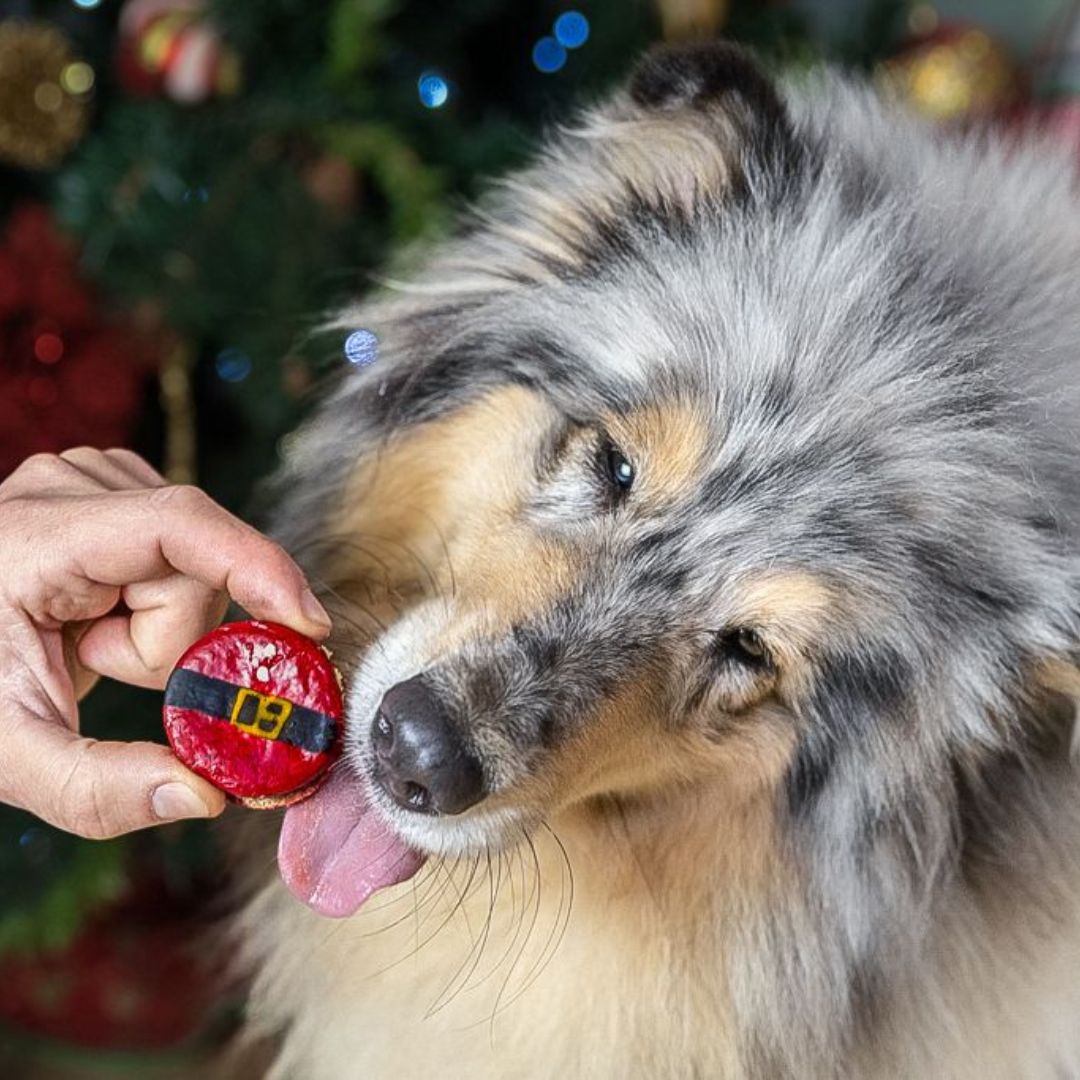 Macarons Père Noël